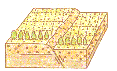 図1：正断層